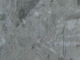 超值200 Value200 塑膠地磚 V558(X)