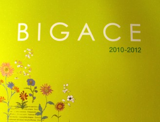BIGACE 壁紙