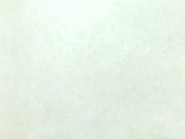 Blatimore 名花傾國 壁紙  FD 306023