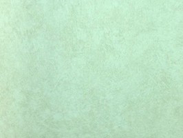 Blatimore 名花傾國 壁紙  FD 306032