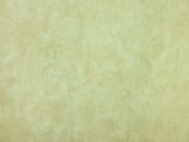 Blatimore 名花傾國 壁紙  FD 306038