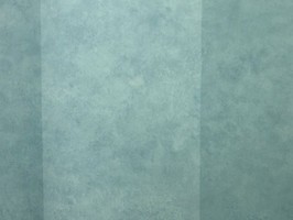 Blatimore 名花傾國 壁紙  FD 306041