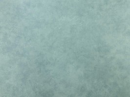 Blatimore 名花傾國 壁紙  FD 306043
