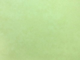 Blatimore 名花傾國 壁紙  FD 306047
