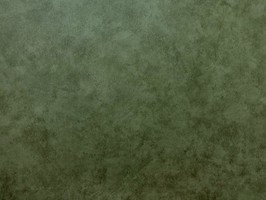 Blatimore 名花傾國 壁紙  FD 306050