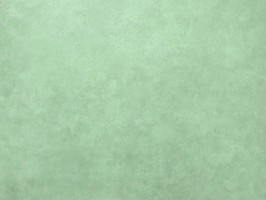 Blatimore 名花傾國 壁紙  FD 306052