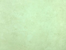 Blatimore 名花傾國 壁紙  FD 306064