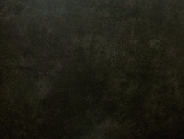 Blatimore 名花傾國 壁紙  FD 306067