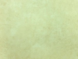Blatimore 名花傾國 壁紙  FD 306068