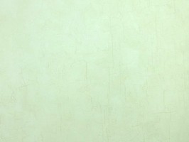 Blatimore 名花傾國 壁紙  FD 306072