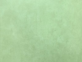 Blatimore 名花傾國 壁紙  FD 306074