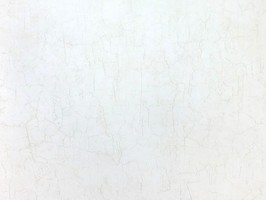 Blatimore 名花傾國 壁紙  FD 306077