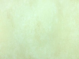 Blatimore 名花傾國 壁紙  FD 306099