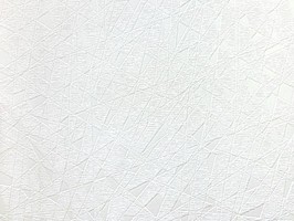 101 壁紙  791601