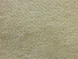 米松傢飾布 窗簾  11509