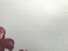米松傢飾布 窗簾  16863
