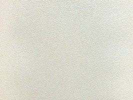 NARNIA 納尼雅 壁紙  NA2080