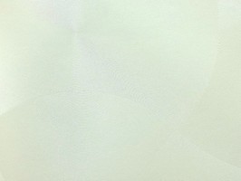 Ritz 麗緻 壁紙 AG104011