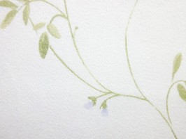 RHINE 珍雅妮  窗簾  RV2003-1