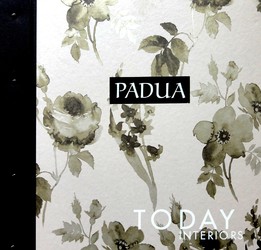 PADUA 壁紙 