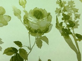 PADUA 壁紙  PDW 8085