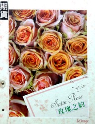 Satin Rose 玫瑰之約 壁紙 