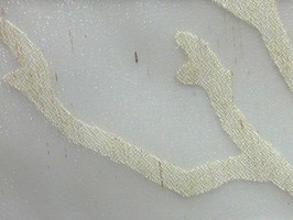 凱撒傢飾 窗簾  1335-2