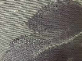 雅式多 傢飾布  A4813