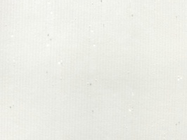 JOY 壁紙  88815