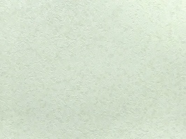 JOY 壁紙  88948