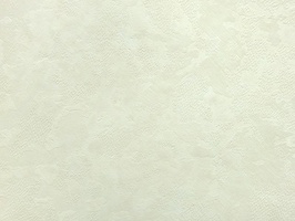 JOY 壁紙  88954