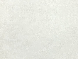 JOY 壁紙  88955