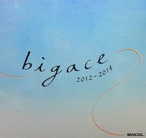 bigace 壁紙