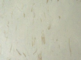 中北采麗 V.C.TILE 塑膠地磚 T0804