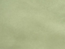 BH 傢飾布 窗簾  BH5325