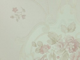 Ture Love 珍愛 壁紙  176203