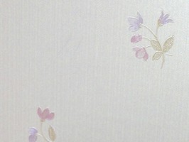 Ture Love 珍愛 壁紙  176304