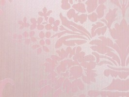 Ture Love 珍愛 壁紙  176402
