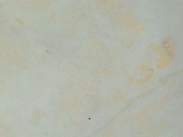 Floor works PT 塑膠地磚 PT1603