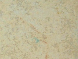 Floor works PT 塑膠地磚 PT1604