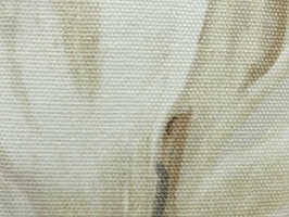 凱撒經典家飾布 窗簾  5160-2
