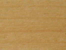 Floor works WP  WB-2415