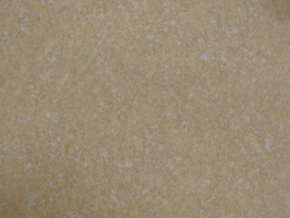 彩寶 Bright 塑膠地磚 p12-BR92305