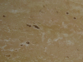 floor works 品味OK系列 2.0 塑膠地磚 OK-2202