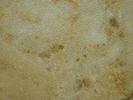 雲碧1.2mm系列 塑膠地磚 1226