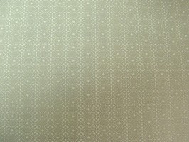Cosm03 時尚3 壁紙  25-CM3224A