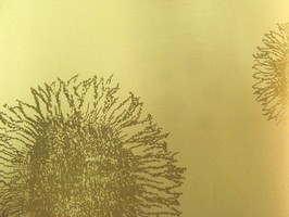 Cosm03 時尚3 壁紙  57-CM3174A