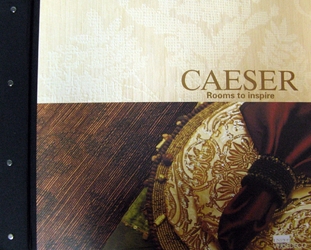CAESER 壁紙