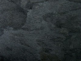 PLASTICS FLOOR TILE 臻品 塑膠地磚 F1-606