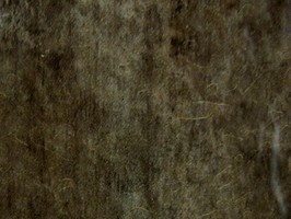 PLASTICS FLOOR TILE 臻品 塑膠地磚 F1-609